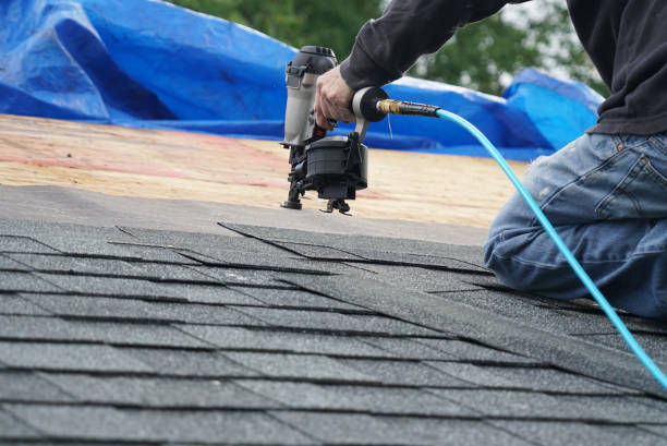 Roof Gutter Cleaning in Dade City North, FL