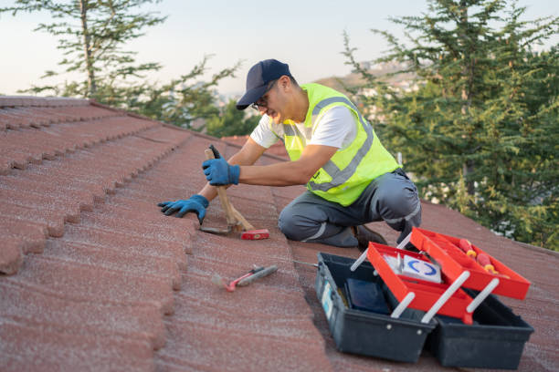 Best Gutter Installation and Roofing  in Dade City North, FL