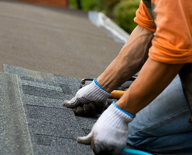 Roof Installation Near Me in Dade City North, FL