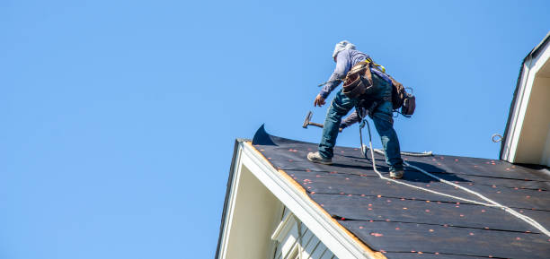 Professional Roofing Contractor in Dade City North, FL